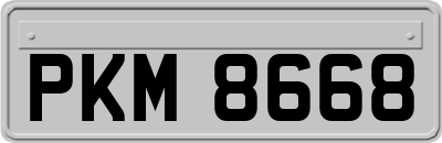 PKM8668