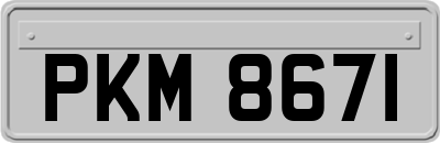 PKM8671