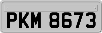 PKM8673