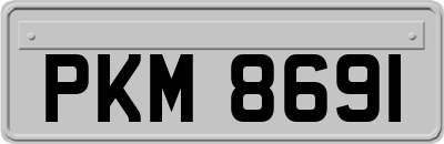 PKM8691