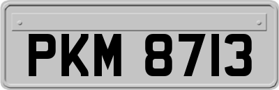 PKM8713