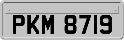 PKM8719