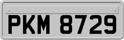 PKM8729