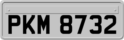 PKM8732