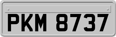 PKM8737