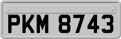 PKM8743