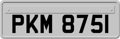 PKM8751