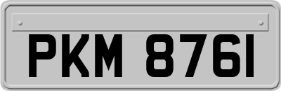 PKM8761
