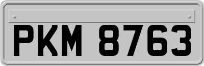 PKM8763