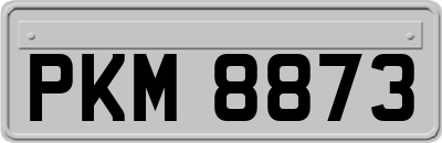 PKM8873