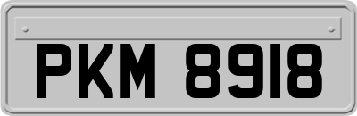 PKM8918