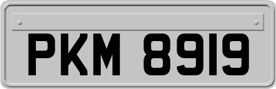 PKM8919