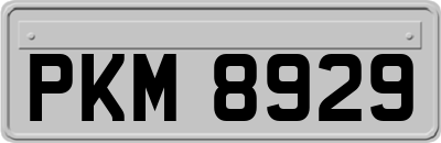 PKM8929