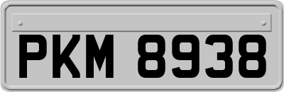 PKM8938
