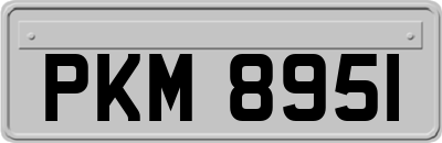 PKM8951