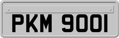 PKM9001