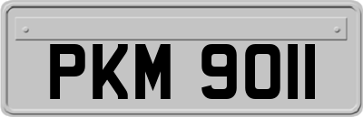 PKM9011