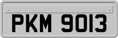 PKM9013