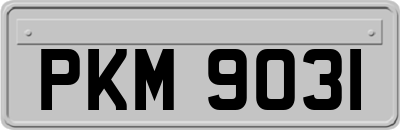 PKM9031
