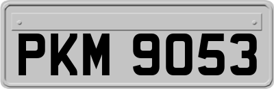 PKM9053