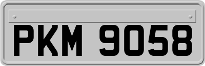 PKM9058