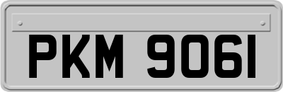 PKM9061