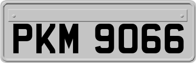 PKM9066