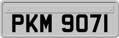 PKM9071