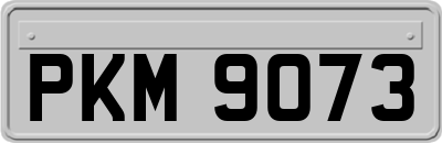 PKM9073