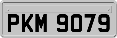 PKM9079