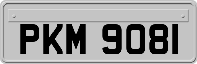 PKM9081
