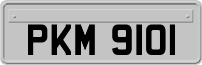 PKM9101