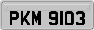 PKM9103