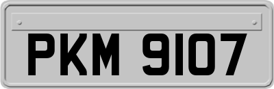 PKM9107
