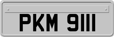 PKM9111