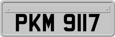 PKM9117