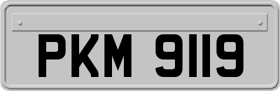 PKM9119