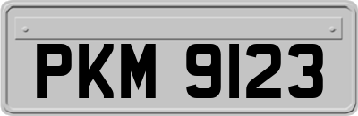 PKM9123