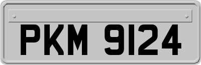 PKM9124