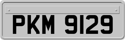 PKM9129