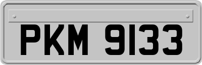 PKM9133