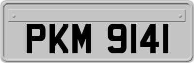 PKM9141