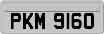 PKM9160