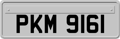 PKM9161