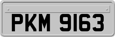 PKM9163