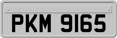 PKM9165