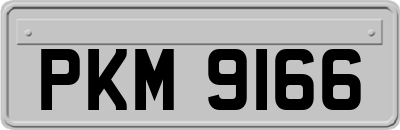 PKM9166