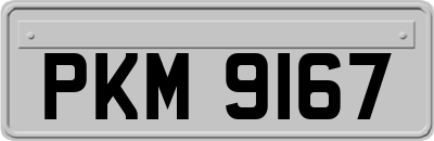 PKM9167