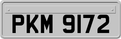 PKM9172