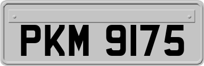 PKM9175